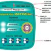 Garjajev Aparat Kvantna Medicina - Teslina tehnologija za zdravlje!