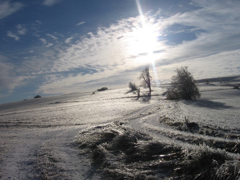 Освит Нове Земље