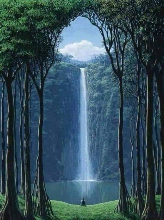 ČOVEK BEZ SVOJSTAVA   (O slobodi da se bude – Niko)